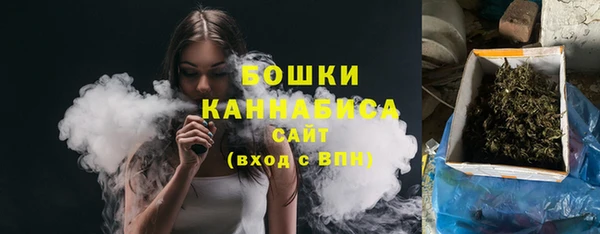 прущие грибы Нефтекумск