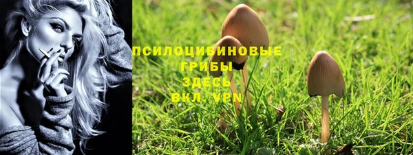 спайс Новозыбков