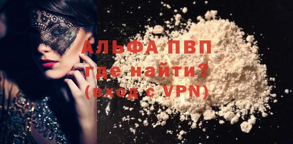 прущие грибы Нефтекумск