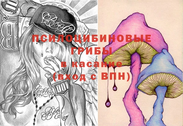 прущие грибы Нефтекумск