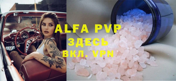 прущие грибы Нефтекумск